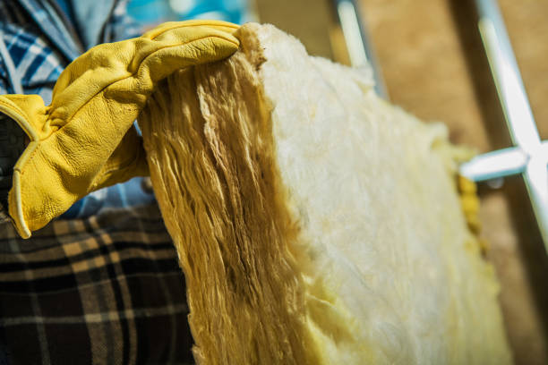 Best Insulation Removal  in Lake Marcel Stillter, WA