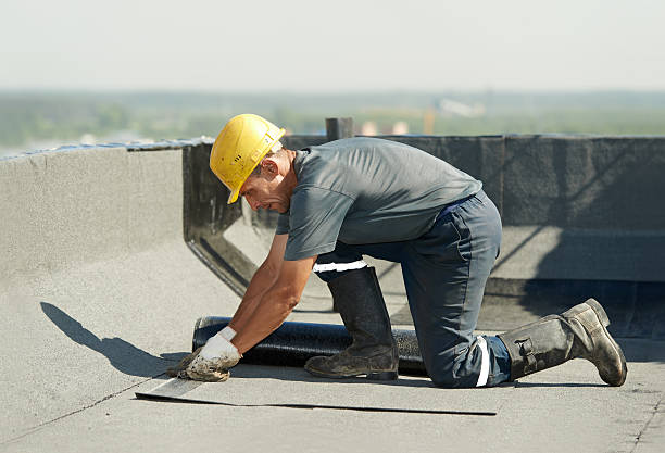 Best Best Insulation Companies  in Lake Marcel Stillter, WA